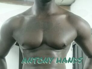 ANTONY_HANDS