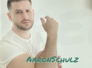 AaronSchulz