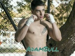 AdamBull