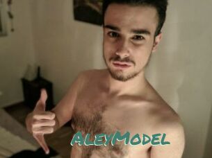 AleyModel