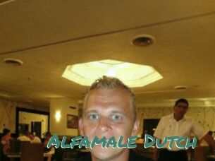 Alfamale_Dutch
