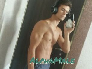 AlphaMale