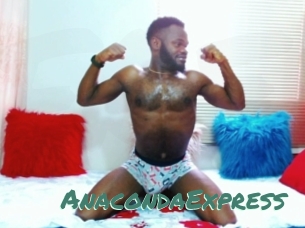 AnacondaExpress