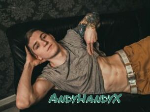 AndyHandyX