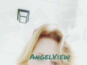 AngelView