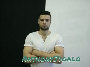 AnthonyJigalo