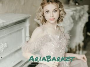 AriaBarket