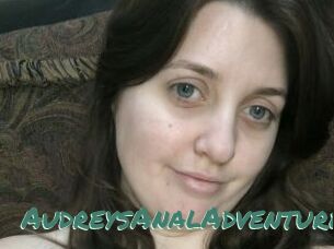 AudreysAnalAdventures