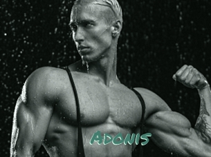 Adonis