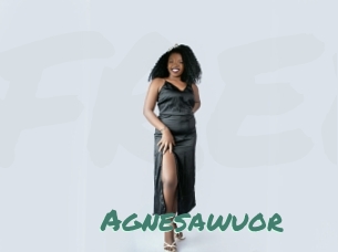 Agnesawuor