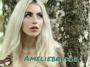 Ameliebriidge