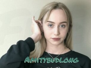 Amitybudlong