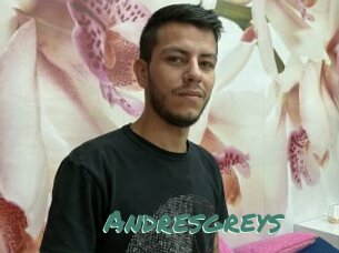 Andresgreys