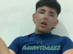 Anndytorrez