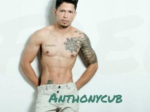 Anthonycub