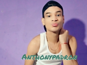 Anthonypadron