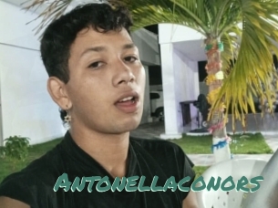 Antonellaconors