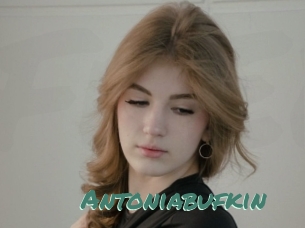 Antoniabufkin