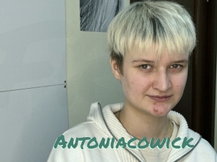 Antoniacowick