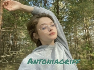 Antoniagriff