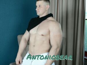 Antoniobear