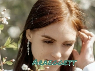 Araeggett