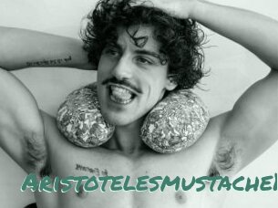 Aristotelesmustache18