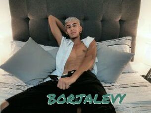 BORJALEVY