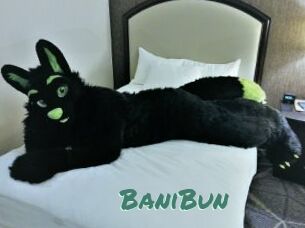 BaniBun