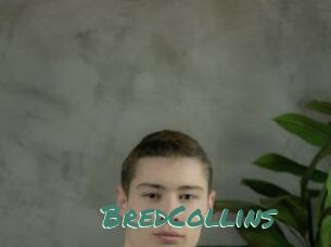 BredCollins