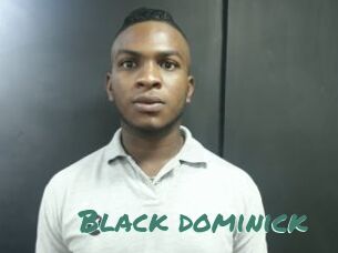 Black_dominick