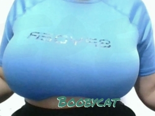 Boobycat