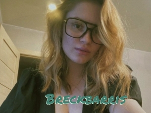 Breckbarris