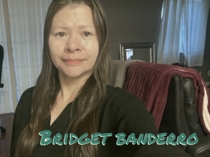 Bridget_banderro