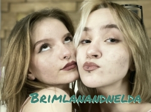 Brimlanandnelda