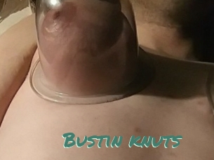 Bustin_knuts