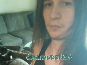 Calidude1134