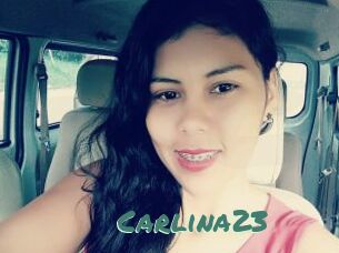 Carlina23