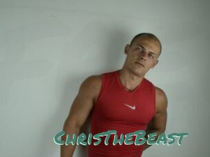 ChrisTheBeast