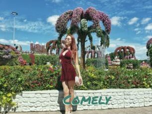 Comely