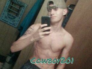 Cowboy201