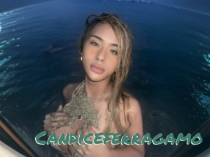 Candiceferragamo