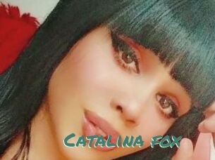 Catalina_fox