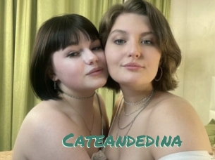 Cateandedina