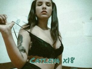 Catleya_x18