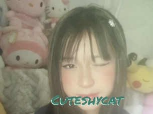 Cuteshycat