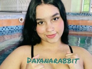 Dayanarabbit