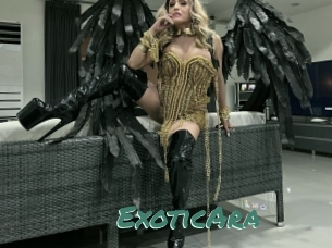 ExoticAra