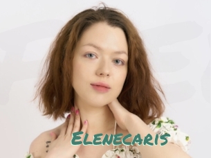 Elenecaris