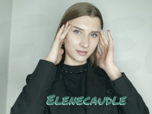 Elenecaudle